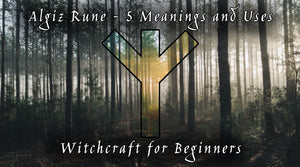 Algiz Rune - 5 Meanings and Uses